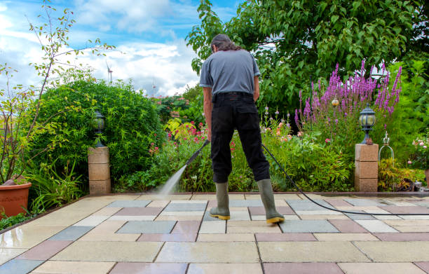 Best Sidewalk and Walkway Cleaning  in Media, PA